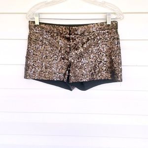 Express dressy shorts w/chocolate sparkles